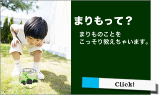 まりもって？　まりものことこっそり教えちゃいます。