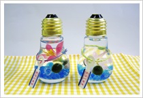 電球型まりも600