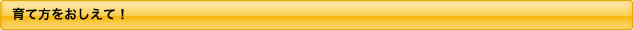 育て方を教えて！