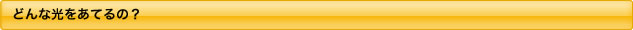 どんな光をあてるの？