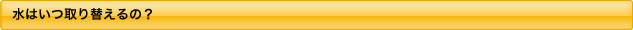 水はいつ取り替えるの？