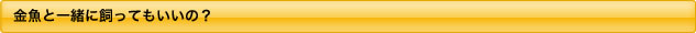 金魚と一緒に飼ってもいいの？