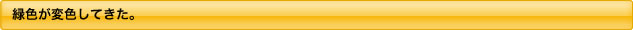緑色が変色してきた。