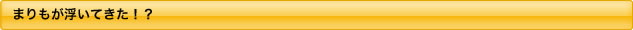 まりもが浮いてきた！？