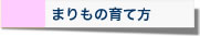 まりもの育て方